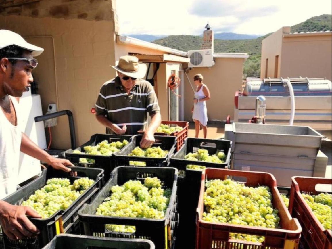 Mymering Wine & Guest Estate Ladismith Eksteriør bilde