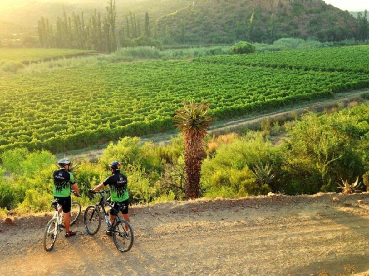 Mymering Wine & Guest Estate Ladismith Eksteriør bilde
