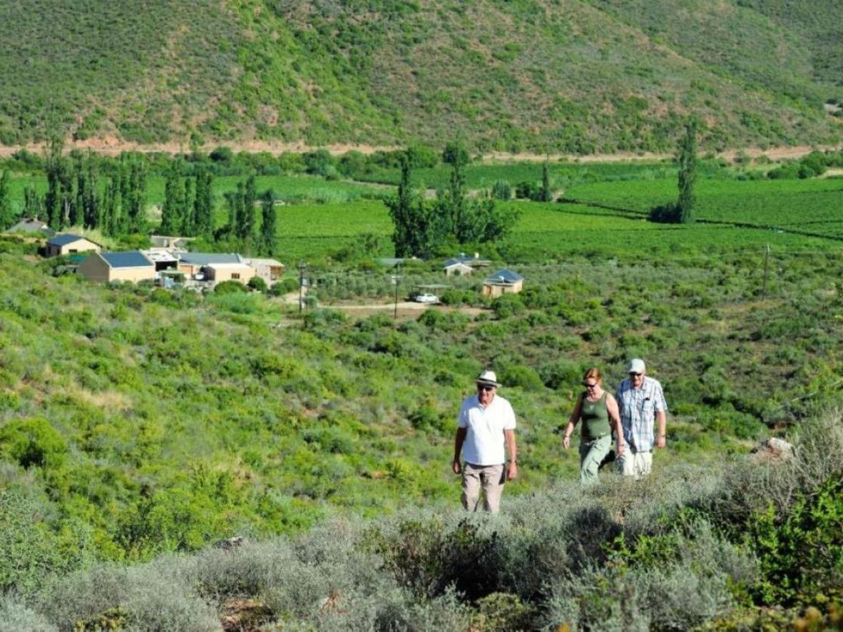 Mymering Wine & Guest Estate Ladismith Eksteriør bilde