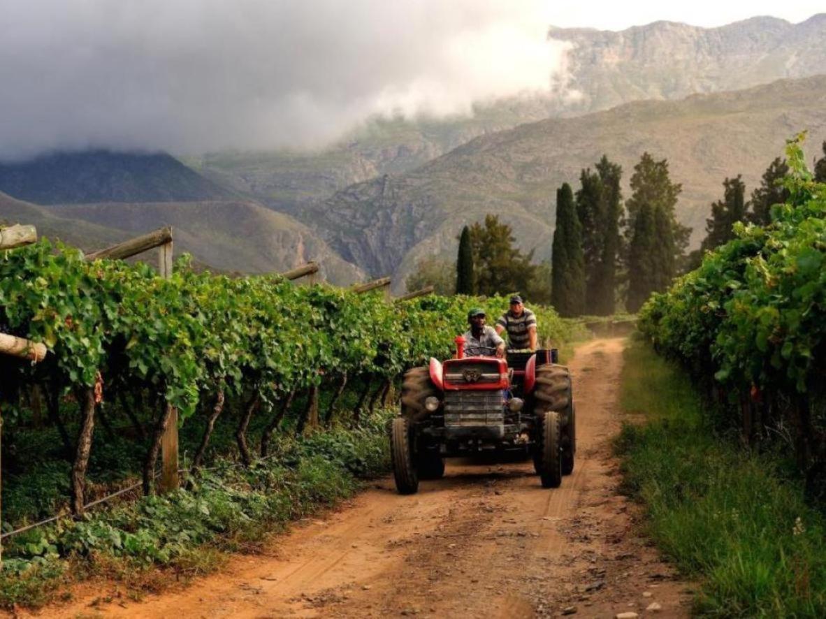 Mymering Wine & Guest Estate Ladismith Eksteriør bilde