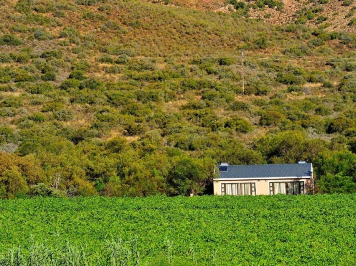 Mymering Wine & Guest Estate Ladismith Eksteriør bilde