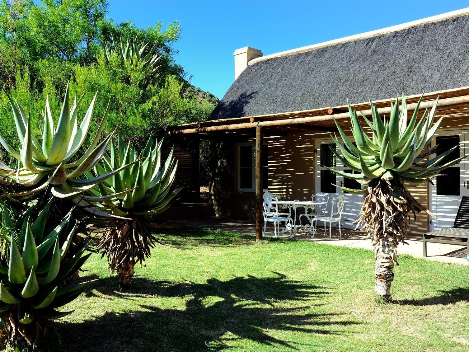 Mymering Wine & Guest Estate Ladismith Rom bilde