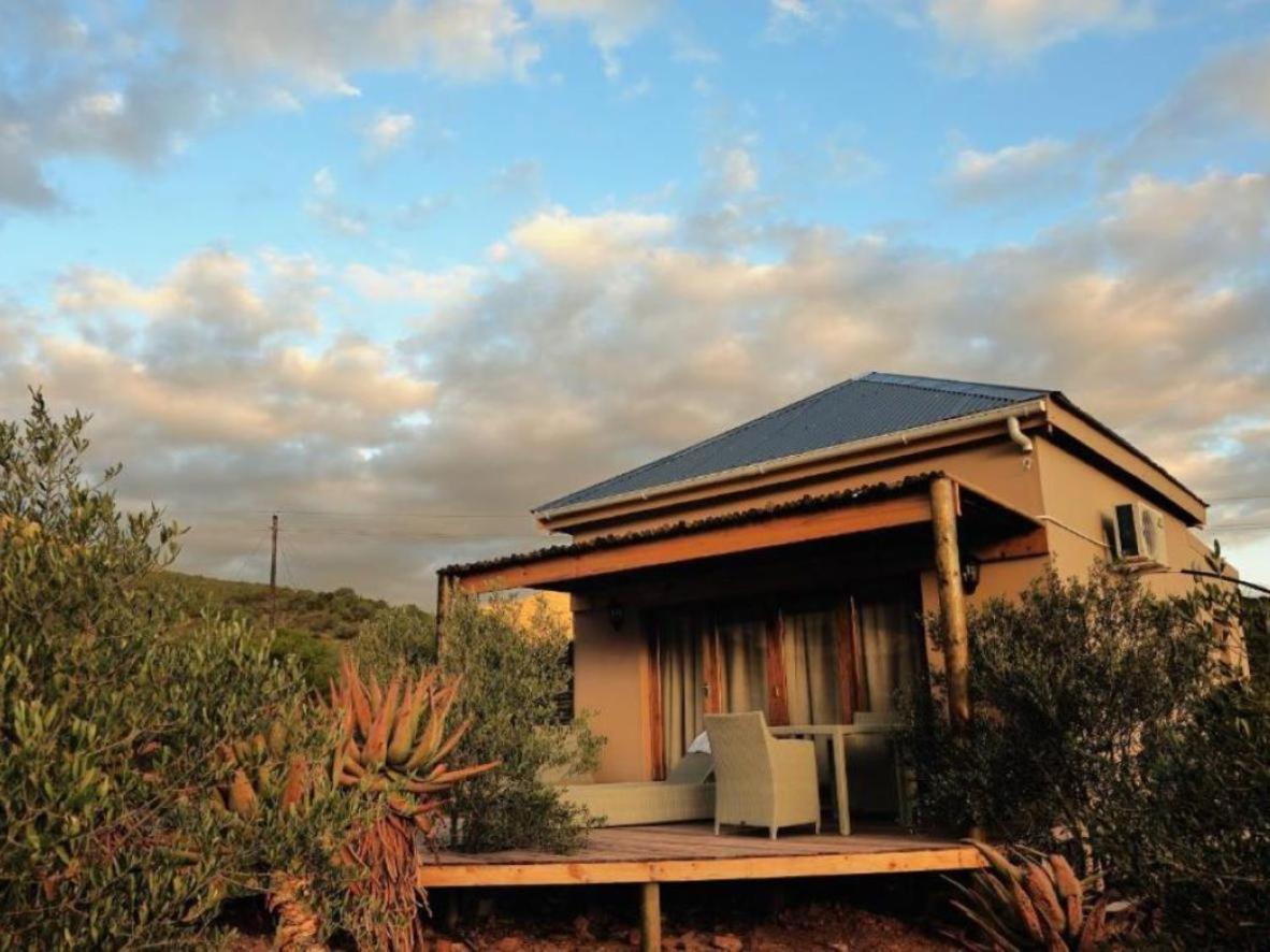 Mymering Wine & Guest Estate Ladismith Rom bilde